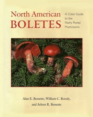 North American Boletes 1