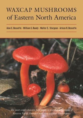 Waxcap Mushrooms of Eastern North America 1