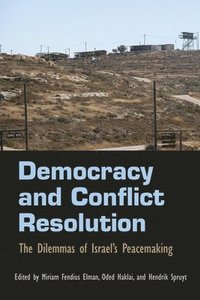 bokomslag Democracy and Conflict Resolution