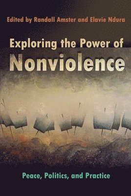 Randell Amster, Elavie Ndura, Randall Amster - Exploring the Power of Nonviolence, Häftad
