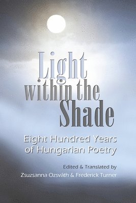 Light Within the Shade 1