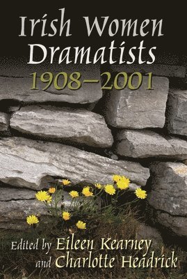 bokomslag Irish Women Dramatists