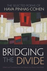 bokomslag Bridging the Divide
