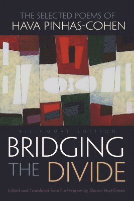 Bridging the Divide 1