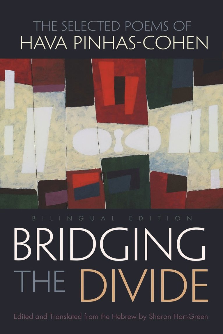 Sharon Hart-Green - Bridging the Divide, Inbunden