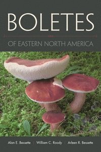 bokomslag Boletes of Eastern North America