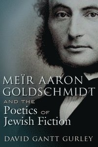 bokomslag Mer Aaron Goldschmidt and the Poetics of Jewish Fiction