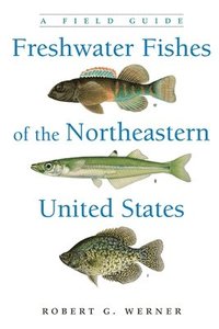 bokomslag Freshwater Fishes of the Northeastern United States