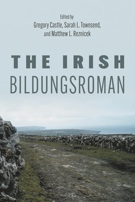 bokomslag The Irish Bildungsroman