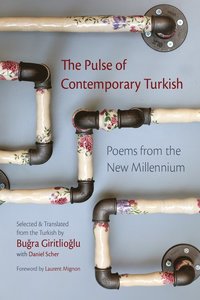 bokomslag Pulse of Contemporary Turkish