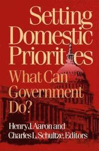 bokomslag Setting Domestic Priorities