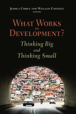 bokomslag What Works in Development?