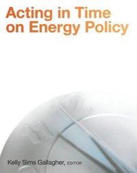 bokomslag Acting in Time on Energy Policy