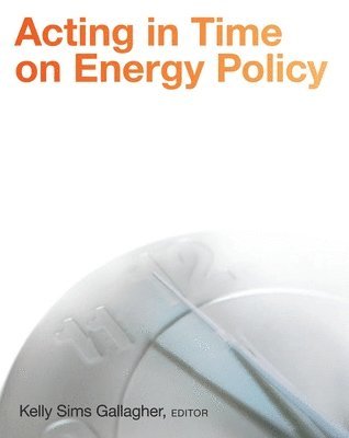 Kelly Sims Gallagher - Acting in Time on Energy Policy, Häftad