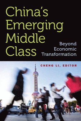 China's Emerging Middle Class 1