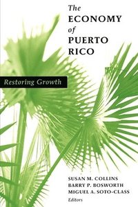 bokomslag The Economy of Puerto Rico