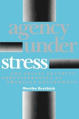 bokomslag Agency Under Stress