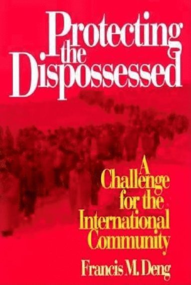 bokomslag Protecting the Dispossessed
