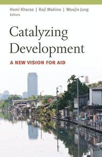 bokomslag Catalyzing Development