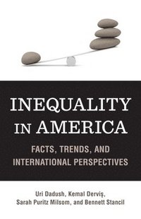bokomslag Inequality in America