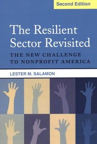 bokomslag The Resilient Sector Revisited