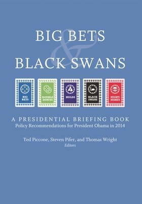 bokomslag Big Bets and Black Swans 2014