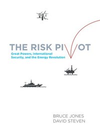 bokomslag The Risk Pivot