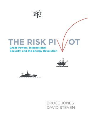 The Risk Pivot 1