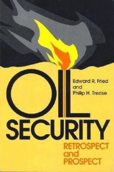 bokomslag Oil Security