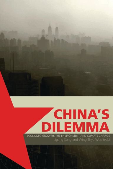 Ligang Song, Wing Thye Woo - China's Dilemma, Häftad