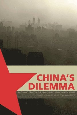 bokomslag China's Dilemma