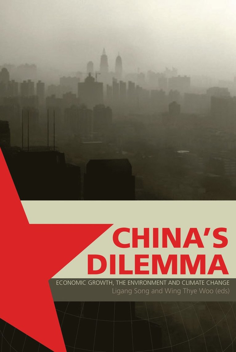 Ligang Song, Wing Thye Woo - China's Dilemma, Häftad