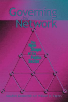 bokomslag Governing by Network