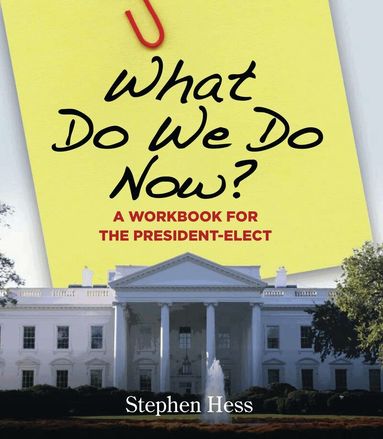 Stephen Hess - What Do We Do Now?, Häftad