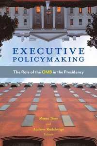 bokomslag Executive Policymaking