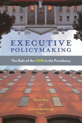 bokomslag Executive Policymaking