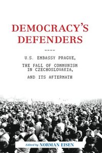 bokomslag Democracy's Defenders