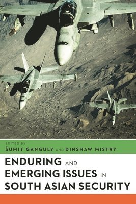 bokomslag Enduring and Emerging Issues in South Asian Security