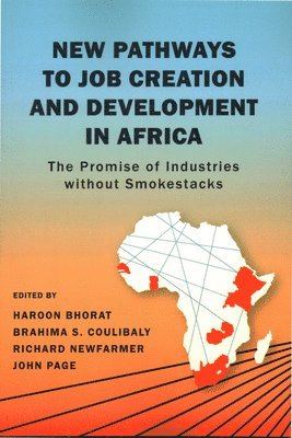 bokomslag New Pathways to Job Creation and Development in Africa