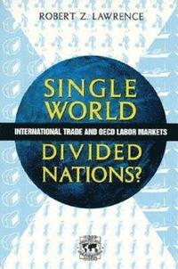 bokomslag Single World, Divided Nations?