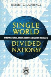 bokomslag Single World, Divided Nations?