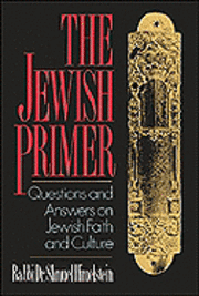 bokomslag Jewish Primer
