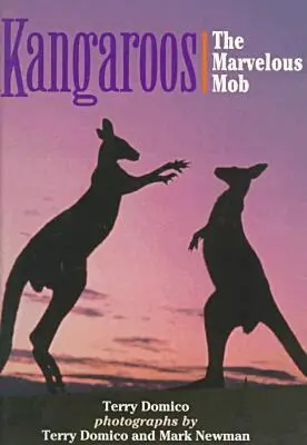 Newman - Kangaroos, Inbunden. Tillgänglighet: Tillfälligt slut