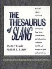 bokomslag Thesaurus of Slang