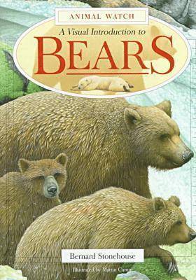 bokomslag Bears