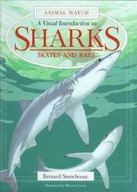 bokomslag Sharks
