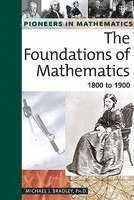 bokomslag The Foundations of Mathematics