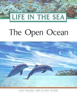 bokomslag Open Ocean