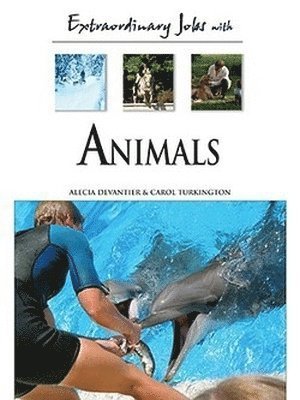 bokomslag Extraordinary Jobs with Animals