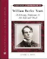 bokomslag Critical Companion to William Butler Yeats